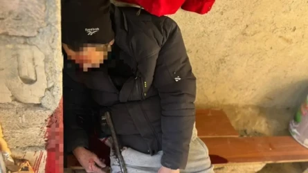 Маңғыстауда өзін атып өлтірген ер адам асырап алған қызын зорлаған боп шықты
