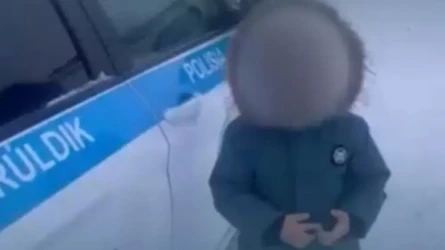 «Әкем ұйықтап жатыр»: Ақмола облысында жол жиегінде жалғыз жүрген төрт жасар бала табылды
