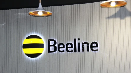 Beeline Kazakhstan заблокировал 29 миллионов звонков от мошенников