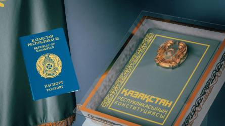 Жаңа Конституцияда қос азаматтыққа қатаң тыйым салынбақ