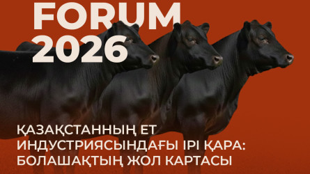 Dala.Camp форумында мал шаруашылығы саласындағы жобалардың питчингі өтеді