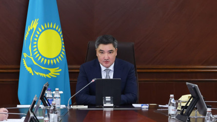 Последнее предупреждение дал Бектенов на борьбу с мошенничеством в частных школах и клиниках