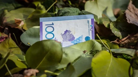 Жаңа Конституцияда «Шетелдіктерге жер сатуға рұқсат беріледі» деген ақпарат тарады