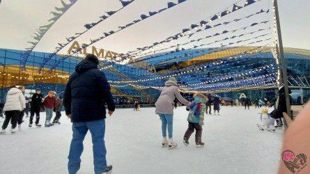 Алматыда мұз айдынында әйел 13 жастағы қызды ұрып-соққан