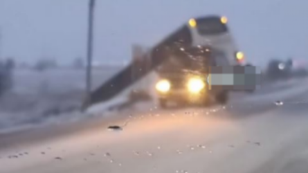 В Карагандинской области автобус с 50 пассажирами съехал с дороги (ВИДЕО)