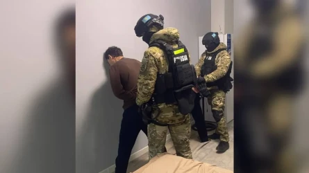 Алматыда әйелді байлап, 30 млн теңгеге жуық мүлкін тонап кеткендер ұсталды (ВИДЕО)
