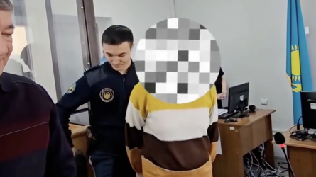 Қостанайда тиктокта қазақтарды қорлаған әйел сотталды (ВИДЕО)