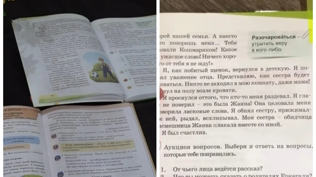 «Сестра раздевает и ласкает мальчика»: отрывок из учебника для 2-го класса обеспокоил родителей