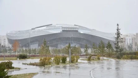Астанада алғашқы қар жауды
