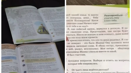 «Сестра раздевает и ласкает мальчика»: отрывок из учебника для 2-го класса обеспокоил родителей