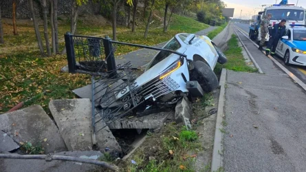«Ит өліп жатыр»: Алматыда такси арыққа түсіп кетті