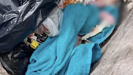 Семейде сәбиінің өліміне қатысы бар бұрынғы полицей өмір бойына сотталды