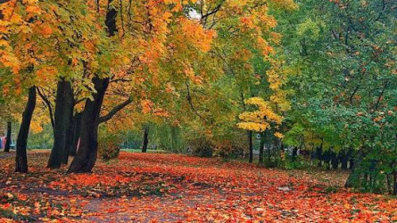 Снег в начале месяца и жара до +30: каким будет октябрь в Казахстане