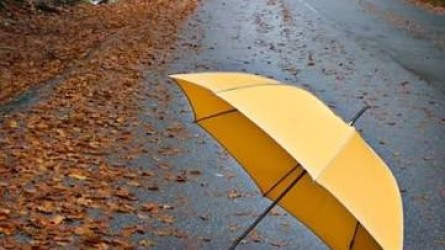 До +25 градусов, дожди и порывистый ветер: прогноз погоды в городах Казахстана на 2 октября