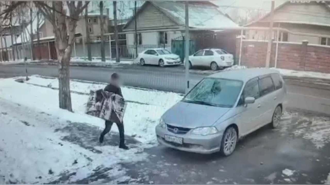 Алматыда теледидар ұрлаған күдікті ұсталды (ВИДЕО)