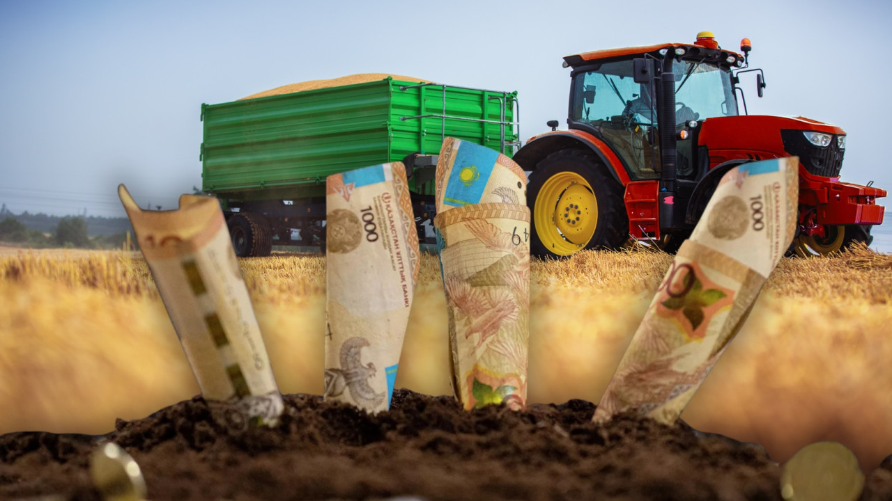 Субсидия алатын шаруаларға жаңа міндеттемелер енгізілді