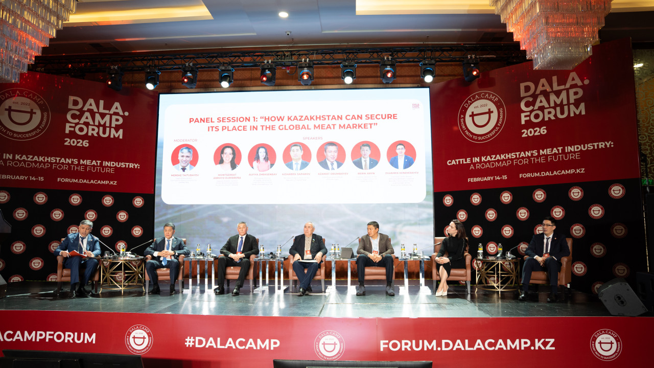 Биылғы Dala.Camp форумына 11 елден 250 делегат қатысып жатыр