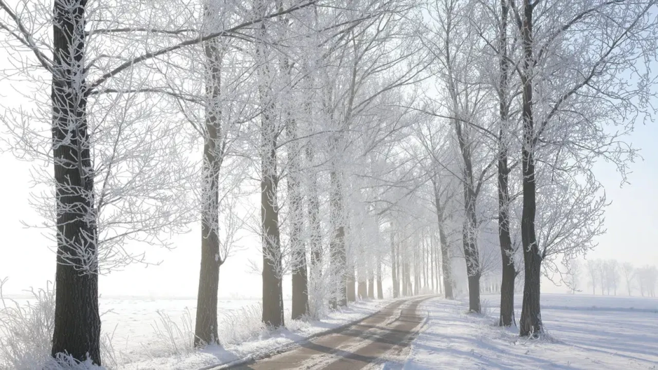 Туман уступит место дождю и снегу: погода в Казахстане на 10 февраля