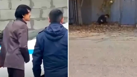 Ерболат Кудайберген помещён в наркологическое учреждение на 15 суток (ВИДЕО)