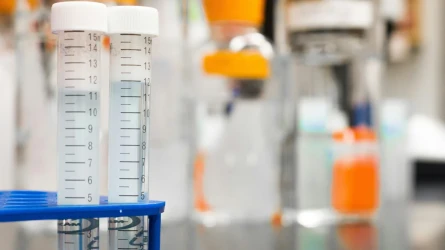 75% экспертов числились формально: в науке выявили системные нарушения