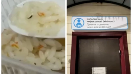 В больнице Караганды детям подали еду с черными жуками