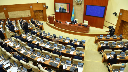 Депутаты Парламента могут досрочно лишиться мандатов после референдума