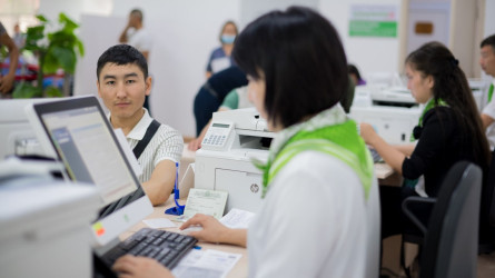 В Казахстане временно приостановлено присвоение ИИН иностранцам