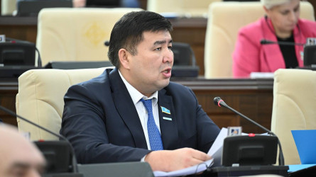 Депутат Елнұр Бейсенбаев енді Президент Әкімшілігінің Ішкі саясат бөлімін басқарады