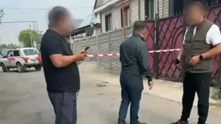 Талғарда екі жасар қызды ұрлау ісі: Тергеушілер әрекетсіздігі үшін сотқа беріледі