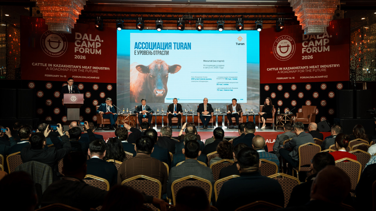 Еліміз премиум сиыр еті нарығына шығуға дайындалып жатыр