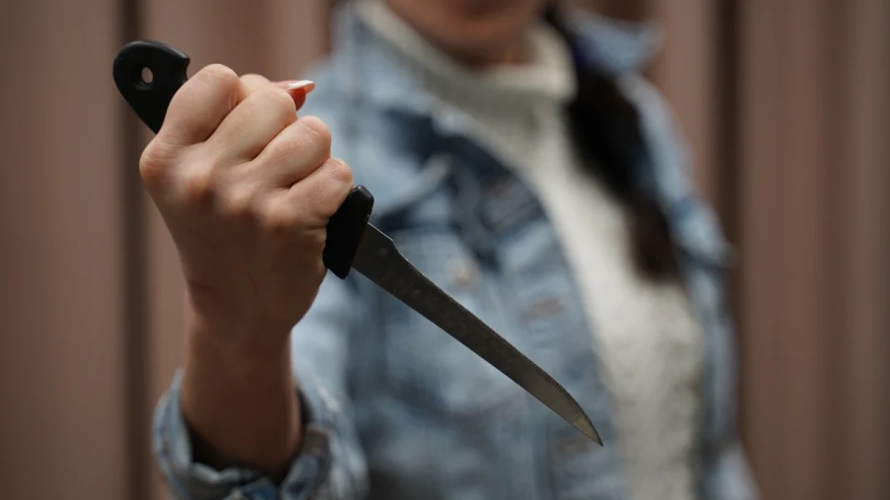 Павлодарда әйел бірге тұратын жігітті пышақпен өлтіріп сотталды