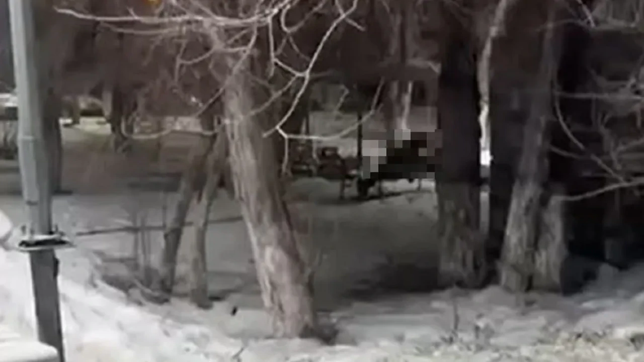 В Караганде пара занялась интимными действиями в общественном месте