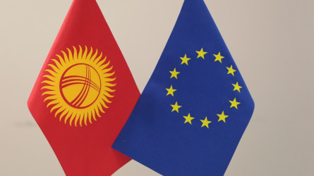 Киргизия готова подать иск против ЕС из-за возможных санкций