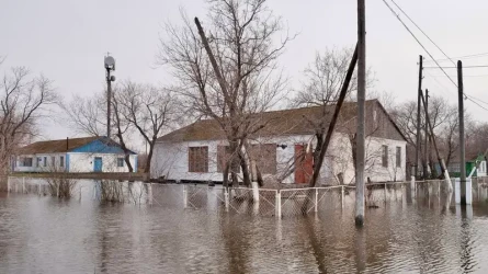 Көктемде су тасқыны қаупі бар өңірлер белгілі болды