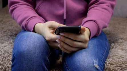 Жамбыл облысында әйел Instagram-да жала жапқаны үшін жазаланды