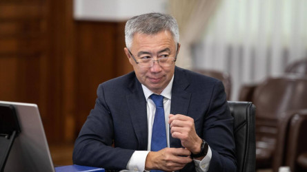 Жумангарин не стал объяснять, откуда у его супруги 88 млн тенге