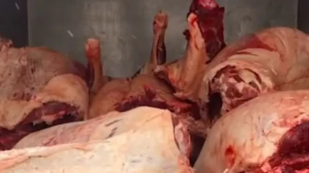 В Астане на рынках продавали сомнительное мясо (ВИДЕО)