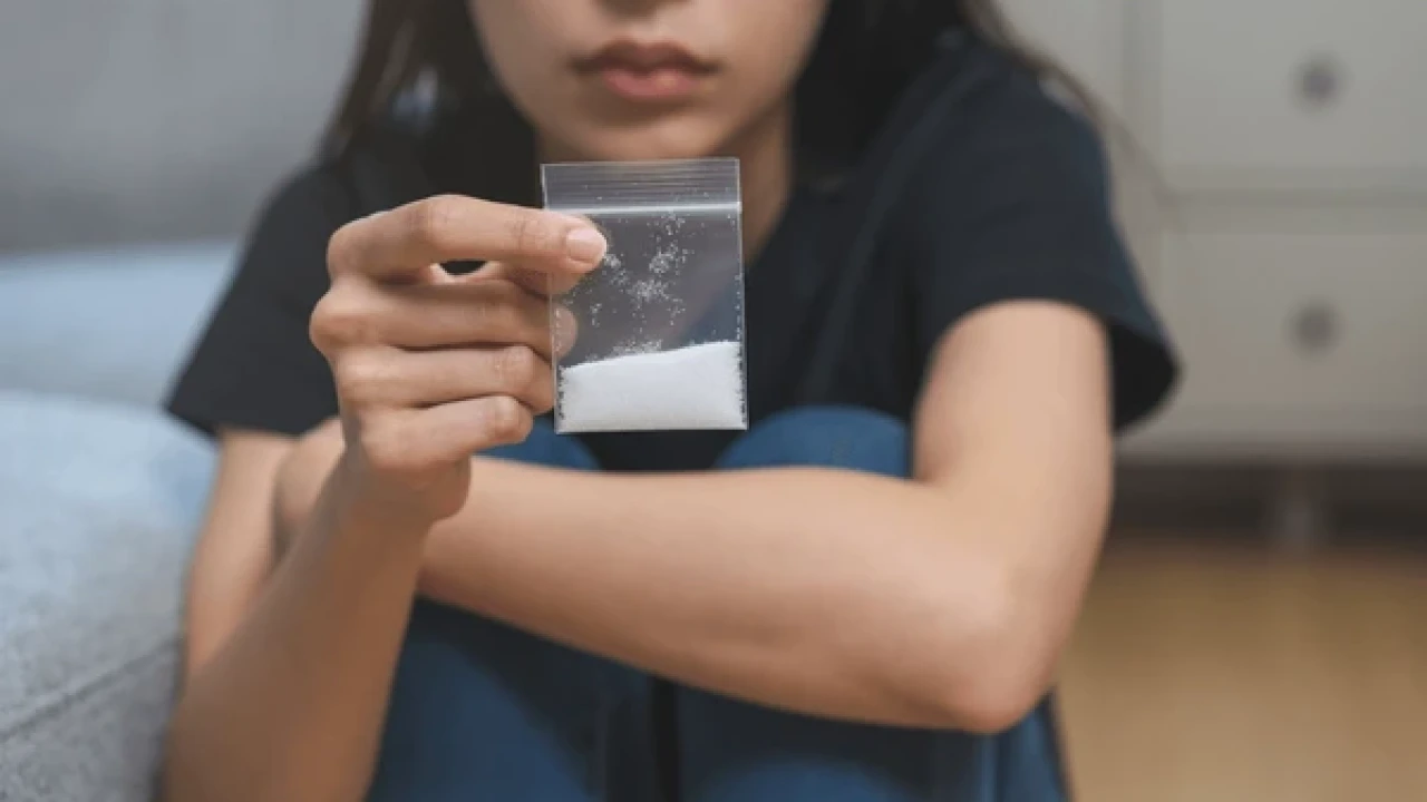 Павлодарда іш киімінен есірткі табылған әйел сотталды