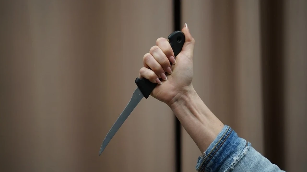 Абай облысында күйеуін қорғаған әйел шабуылдаушыны өлтіріп алды