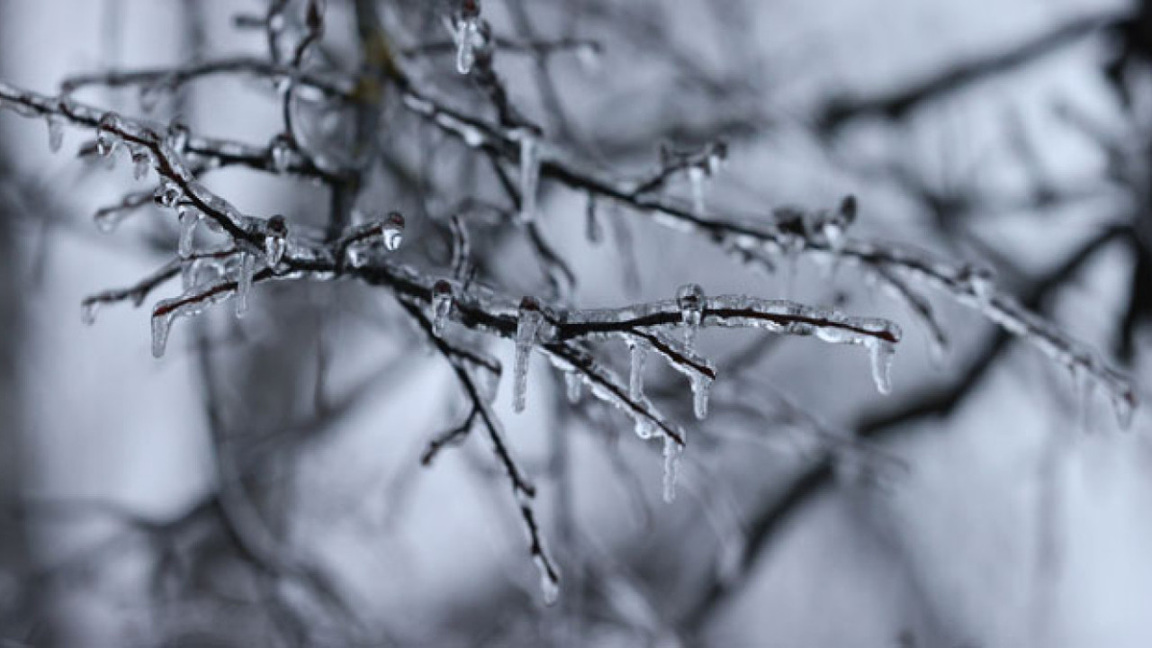 Похолодание, снег, шквал: какой будет погода в Казахстане 17 апреля