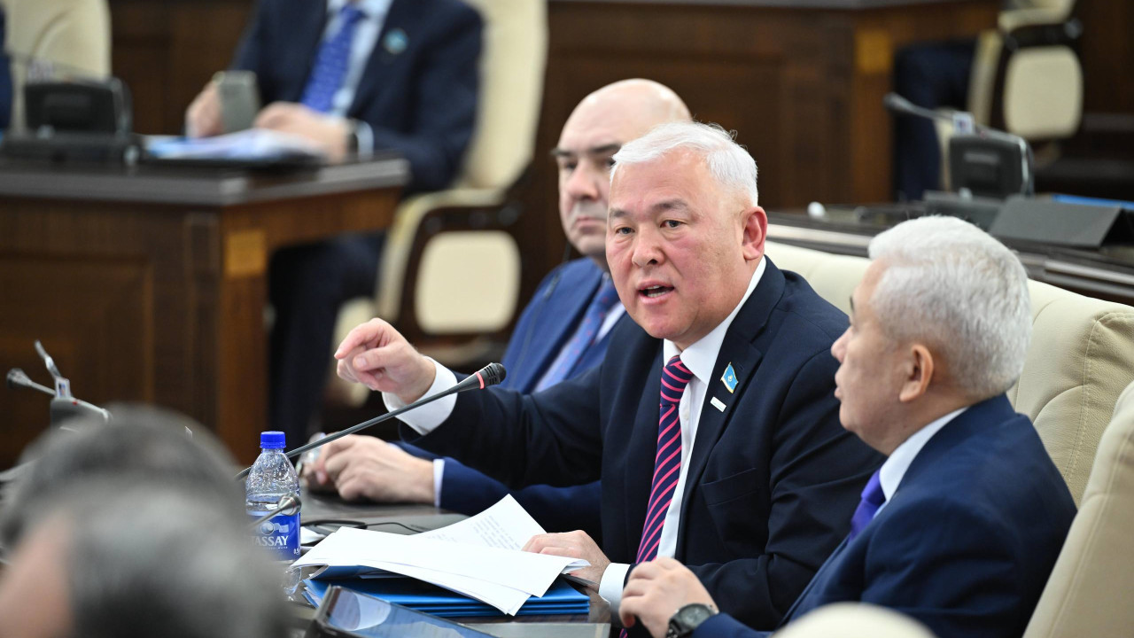 «Таксиге шыққысы келеді, бірақ құқығынан айырылады»: Әбенов борышкерлер жүйесін сынға алды