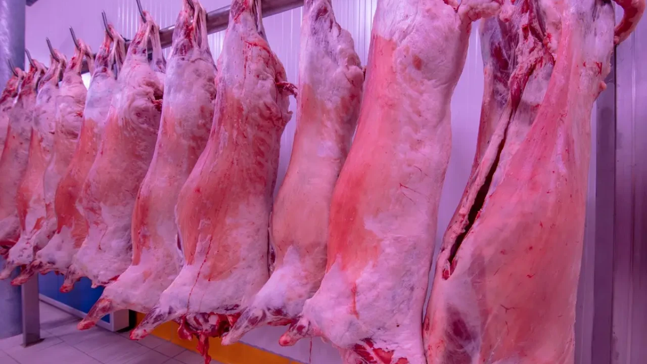 Казахстан вышел на рынок Саудовской Аравии с халал-продукцией