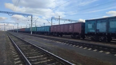 Школьник из Астаны сорвался с крыши грузового поезда, пытаясь скрыться от полиции