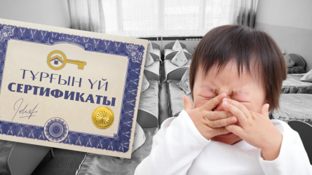 Жетімдерге берілген пәтерлерде бөтен адамдар тұрып жатыр – депутат