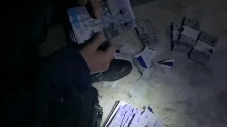 «Шарбақтан лақтырып жіберді»: Қостанайда блогер 15 млн теңге үшін сотталды