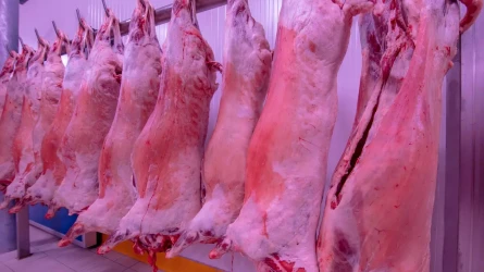 Казахстан вышел на рынок Саудовской Аравии с халал-продукцией