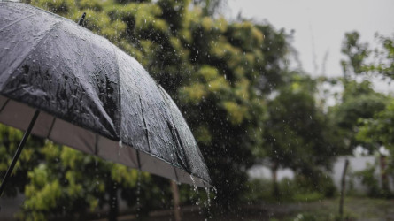 14 өңірге қауіп: Бүгін тұман, дауыл және үсік қатар келеді