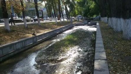 Алматыда арықтан ер адамның мәйіті табылды