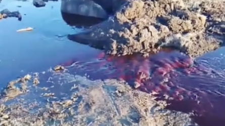 В Щучинске из колодца вытекала вода с примесью крови: жителей напугал резкий запах