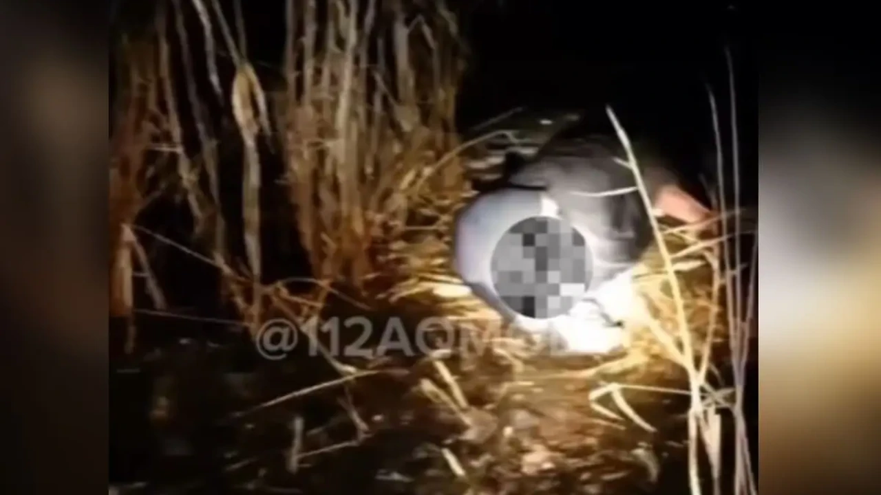 «Мен тірі қалғым келеді»: Ақмола облысында ер адам батпақтан құтқарылды